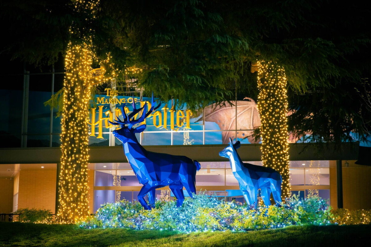 東京哈利波特影城首迎聖誕節！6米高聖誕樹夢幻點燈、「劫盜地圖」燉牛肉蔬菜派必吃！