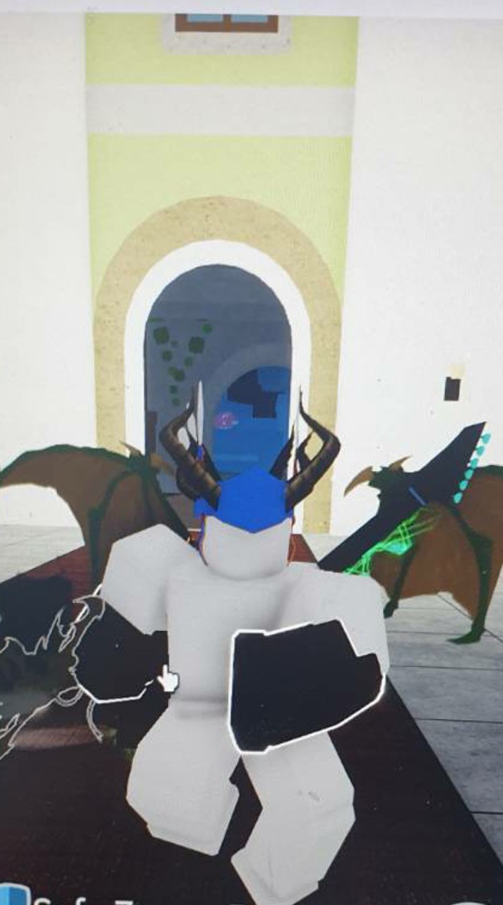 bf互助交流群（外群）Blox Fruit