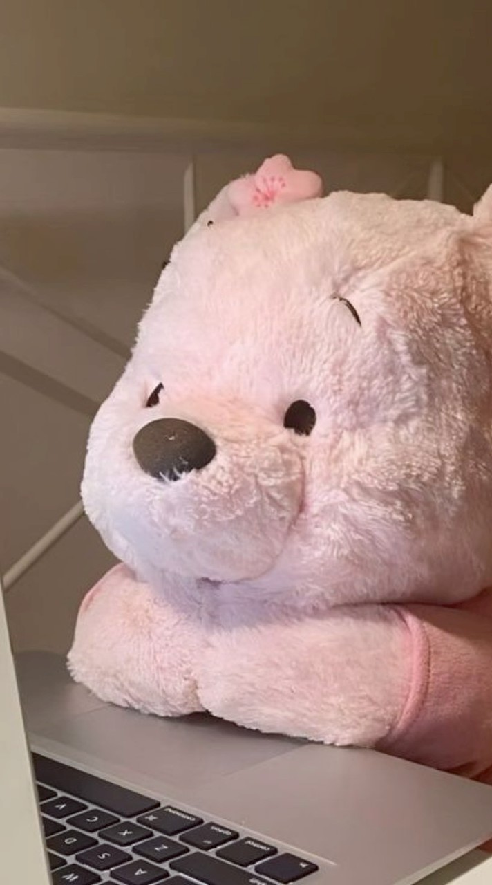 🧸ཽ 聊天ジ
