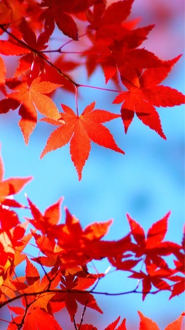 秋の遠足🍁