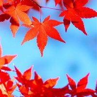 秋の遠足🍁