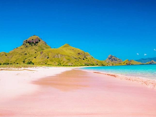 7 Pantai Pink Paling Indah di Dunia yang Wajib Dikunjungi