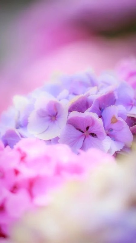 ✧︎ゆるっと雑談部屋✧︎40over