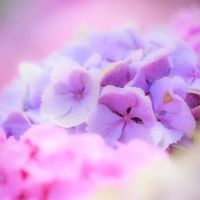 ✧︎ゆるっと雑談部屋✧︎40over