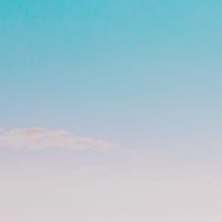 背骨オンラインレッスン