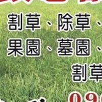政忠  割草 除草噴草藥 鋸樹 矮化 整理