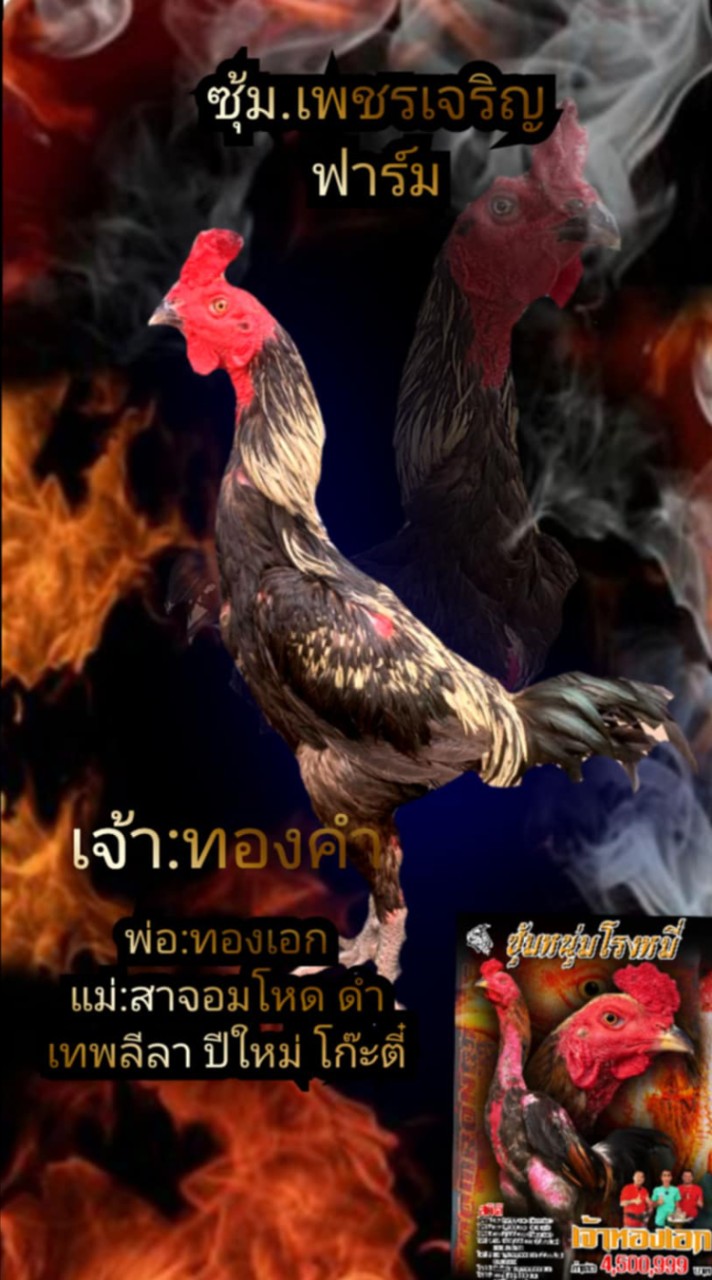 ซุ้ม.เพชรเจริญ ฟาร์ม