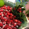 莓果／百菇園