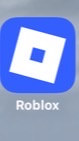 หาคนเล่น Robloxด้วยกานน