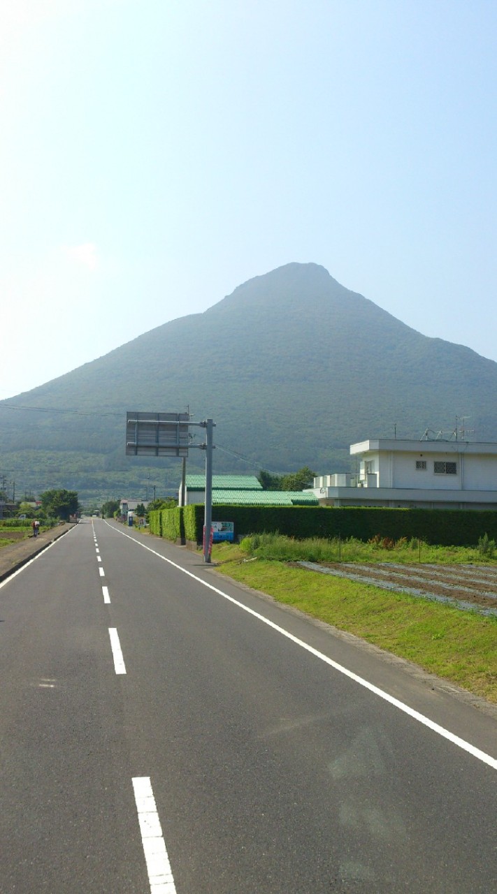 鹿児島写真部！📸🌺