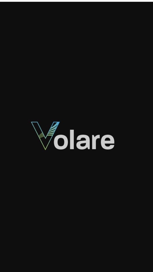 Volare@2020年度のオープンチャット