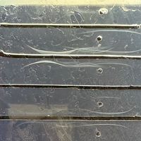 2年生質問コーナー