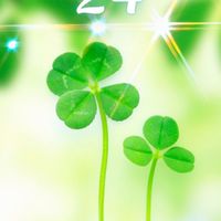 子育てを終えた専業主婦さん大集合🍀