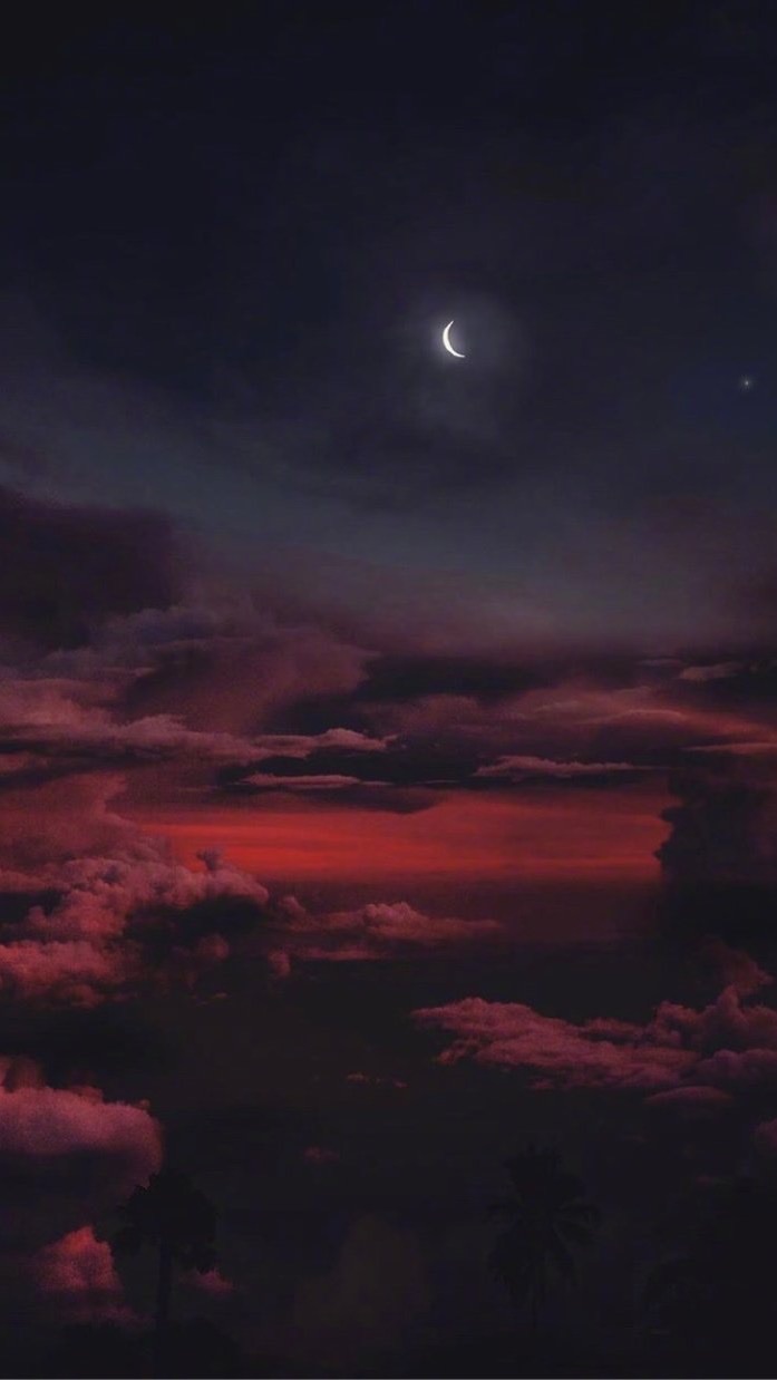 忍者必須死-相聚冷夜