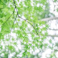 就活【26卒 27卒】日東駒専産近甲龍 専用