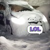 雪道、車中泊のことならなんでも聞いてください！