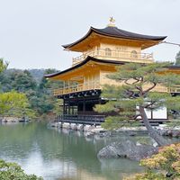 全日本 包車 自由行 機場接送 行程訂製
