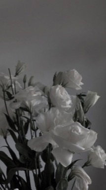 ♡̶₊⁺梨 光 緒 頁°.✰༘