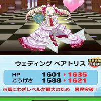 ぷにぷに中級、上級限定オプ！