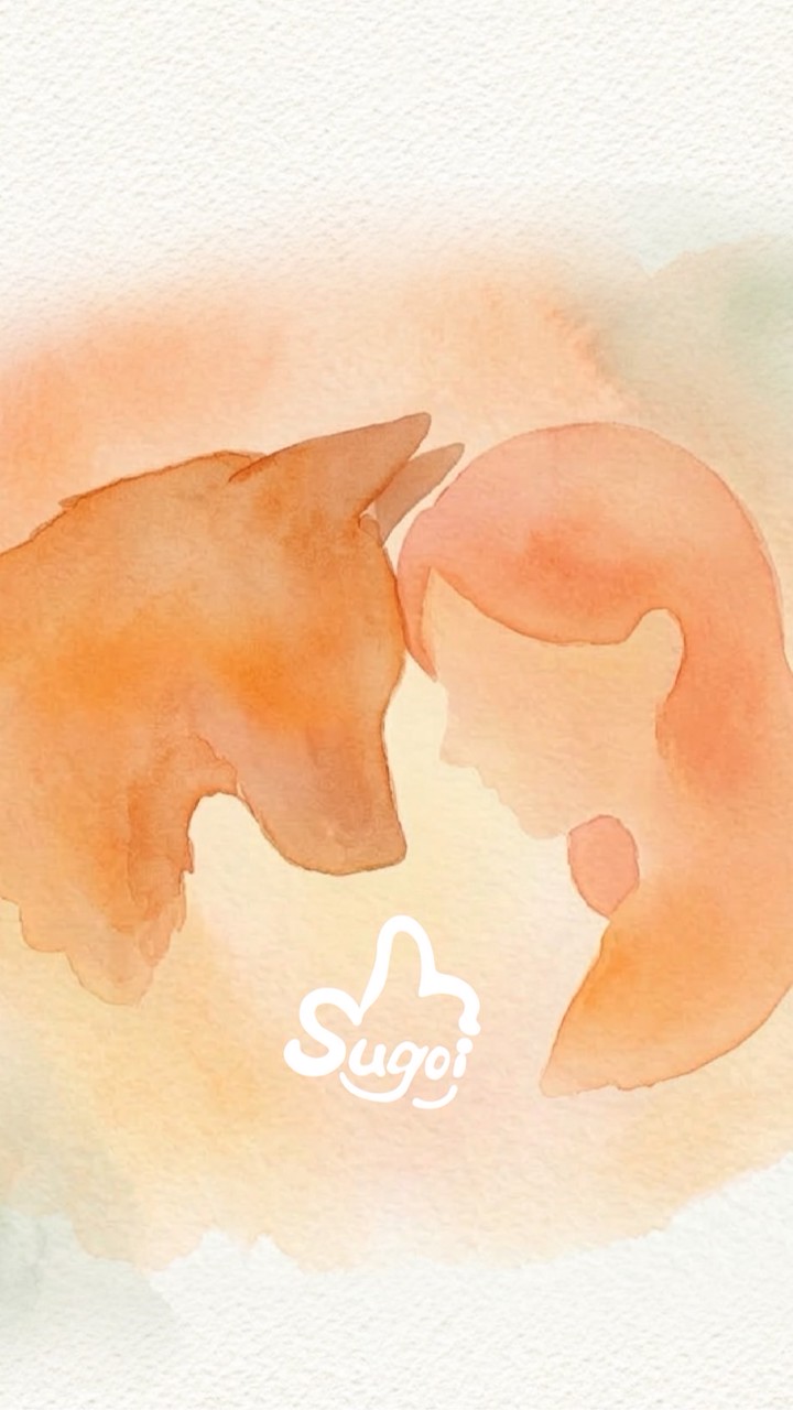 聊關係思狗意 Sugoi