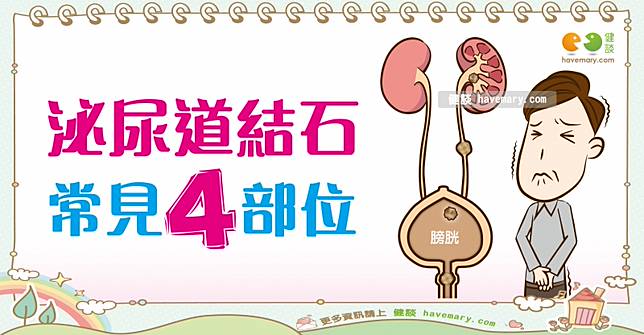 尿路結石的部位 全民愛健康泌尿道結石3 健談網 Line Today