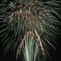 2024 桃の花　花火大会