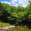 <新>日本の自然の景色や風景、花の写真など