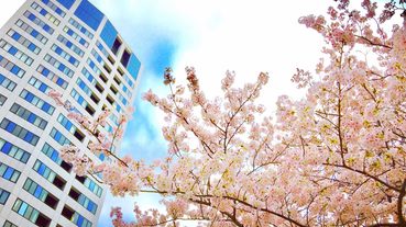 《日本女子圖鑑》轉角遇到愛第二部曲 獵捕天菜文青雅痞特區