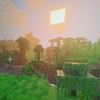 マイクラ参加型サバイバル