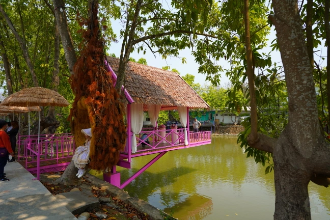 中部景點,斗六景點,斗六花旗木,近水樓台,近水樓台湖畔森林咖啡,近水樓台湖畔森林咖啡交通資訊,近水樓台湖畔森林咖啡停車場,近水樓台湖畔森林咖啡停車場花旗木,近水樓台湖畔森林咖啡門票,雲林IG打卡點,雲林景點,雲林網美景點,雲林花旗木近水樓台湖畔森林咖啡花旗木