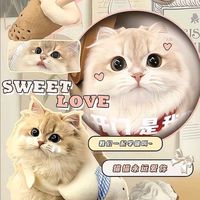 ทาสแมวล้านเปอร์เซ็นน😻❤️