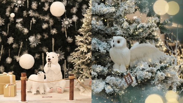 2023全台聖誕活動懶人包！台北101點燈、奇美博物館聖誕市集，邂逅極致的冬季浪漫！