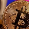 區塊鏈加密貨幣社區