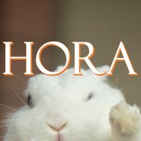 HORA寵物選品&動漫&追星&彩妝