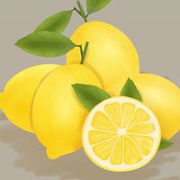 เเก็งชอบมะนาว🍋