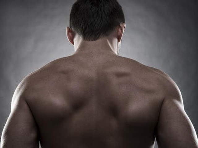 美しい逆三角形を手に入れる 自宅でできる簡単背筋トレーニングとは オリーブオイルをひとまわしニュース