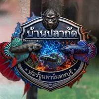 บ้านปลากัด ฟอร์จูนฟาร์ม ลพบุรี