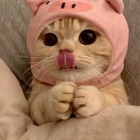 หาลูกค้ามานวด ร้านนวดในระยอง