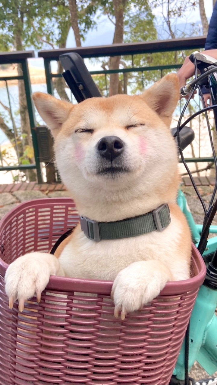 噗噗魯舖