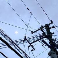 みんなで歌雑しよ！めっちゃ声いい人がいるよ〜！