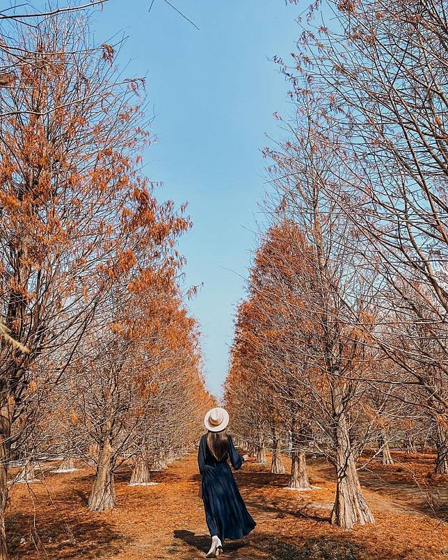 （圖片來源IG／@153_mom）