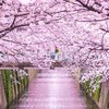 お腹痛い人悩み話そう😊