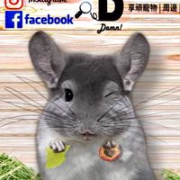 享頑龍貓生活館🐭🐱