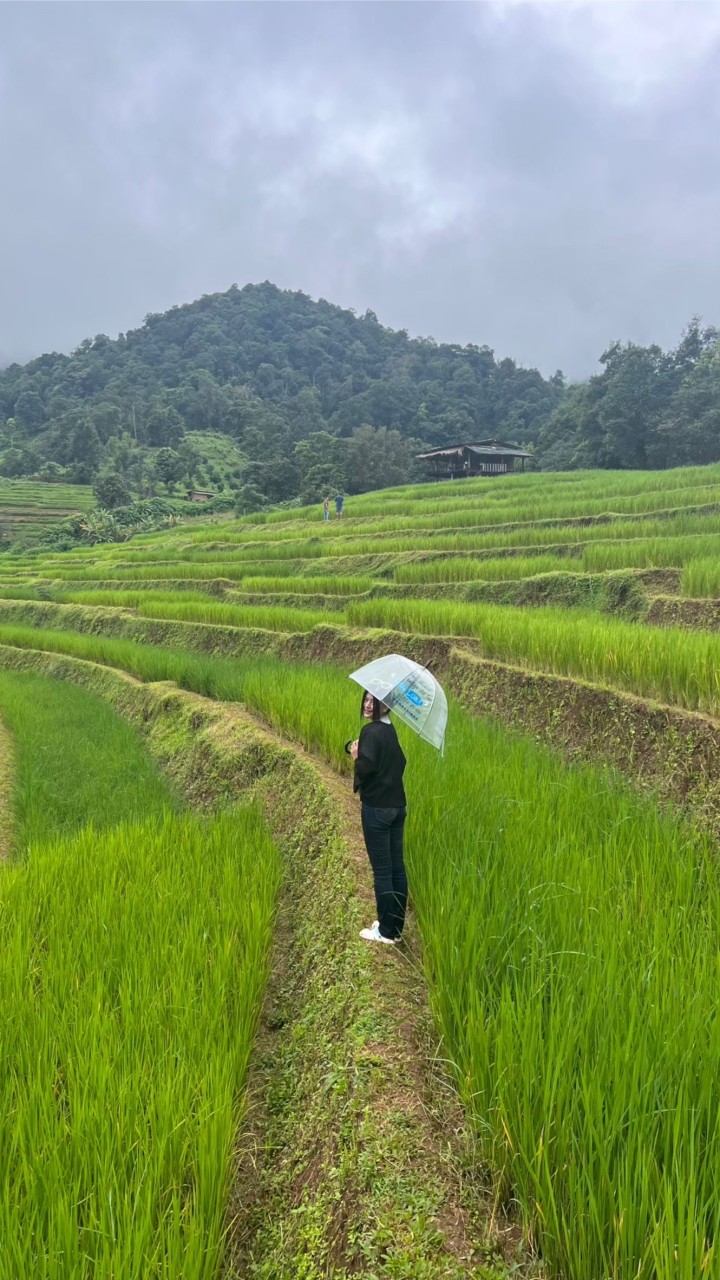 ทุลักทุเลทริป Byไดอารี่สีเขียว+กินเที่ยวแล้วแต่ฟีล