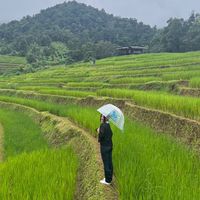 ทุลักทุเลทริป Byไดอารี่สีเขียว+กินเที่ยวแล้วแต่ฟีล