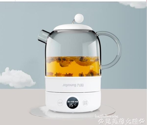 養身壺養生壺家用多功能養身煮茶器全自動mini玻璃辦公室小型花茶壺 貝芙莉LX