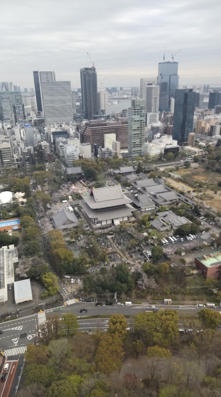 帝京大学 教職