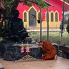 สถานธรรมพุทธพรหมยานป่าไผ่