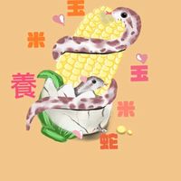 玉米養玉米蛇-鳳山🐭自取點
