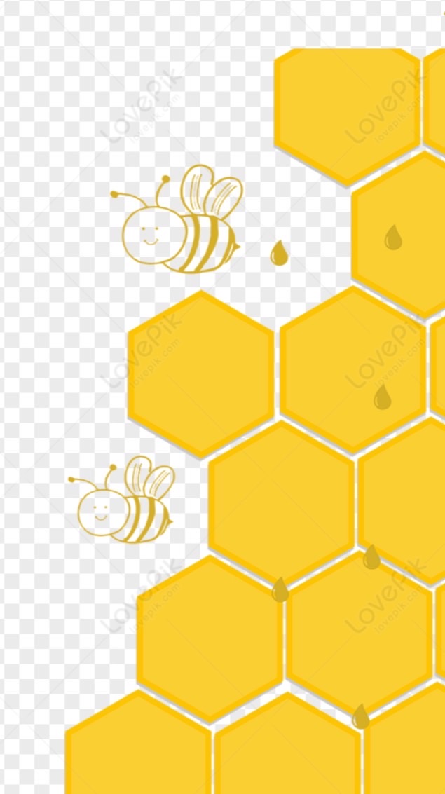 定投BTC，牛市🚀🚀🚀，2025下半年上看12萬u